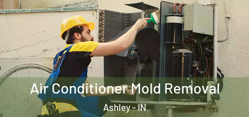  Air Conditioner Mold Removal Ashley - IN