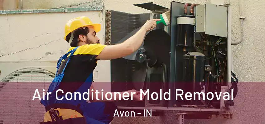 Air Conditioner Mold Removal Avon - IN