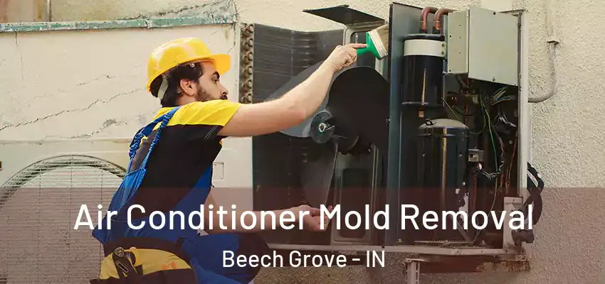  Air Conditioner Mold Removal Beech Grove - IN