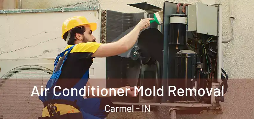  Air Conditioner Mold Removal Carmel - IN