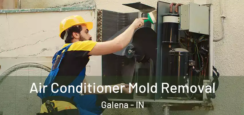 Air Conditioner Mold Removal Galena - IN