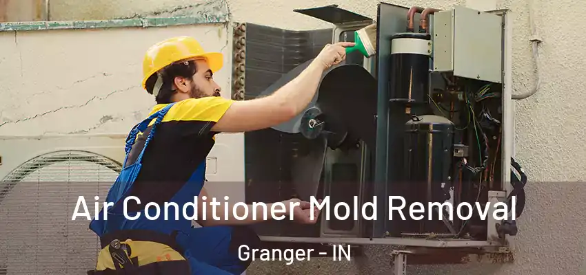  Air Conditioner Mold Removal Granger - IN