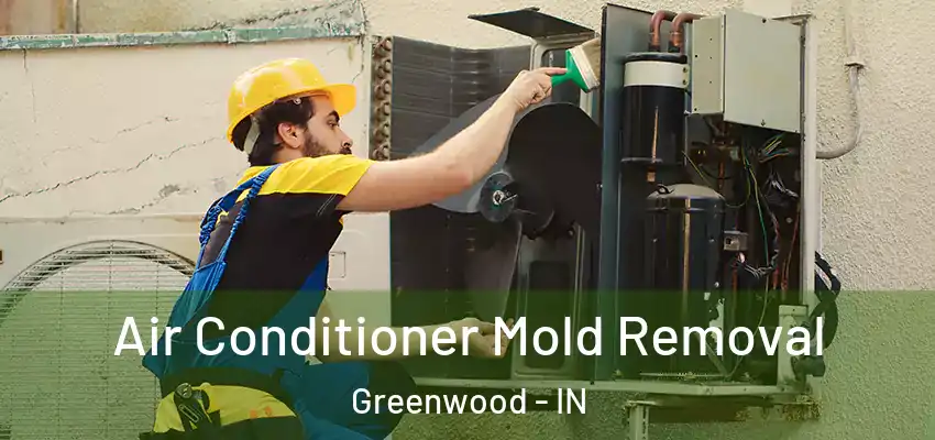 Air Conditioner Mold Removal Greenwood - IN