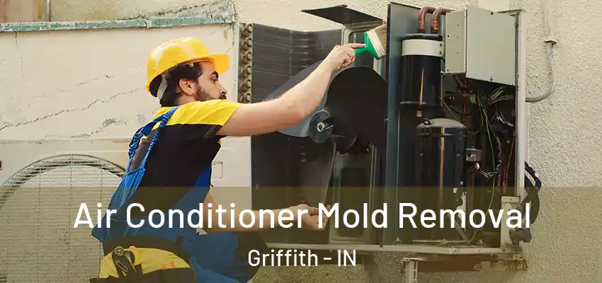 Air Conditioner Mold Removal Griffith - IN