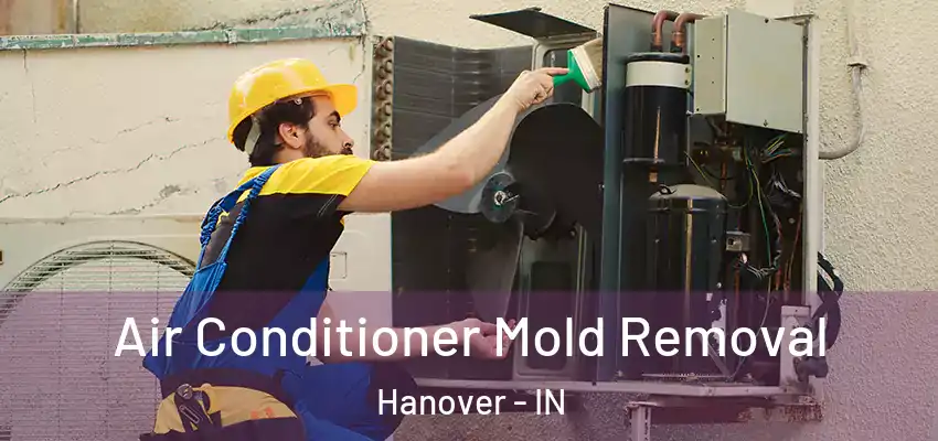  Air Conditioner Mold Removal Hanover - IN