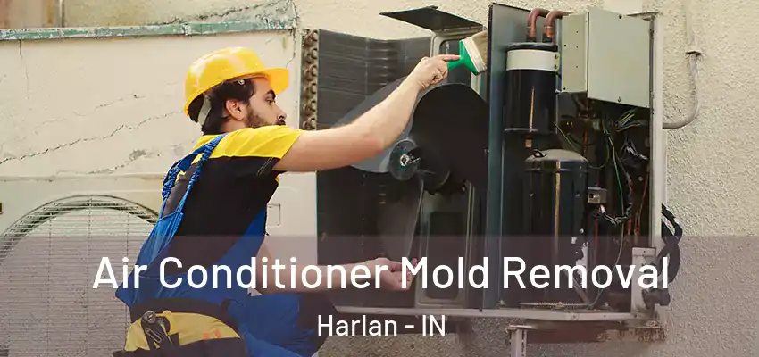  Air Conditioner Mold Removal Harlan - IN