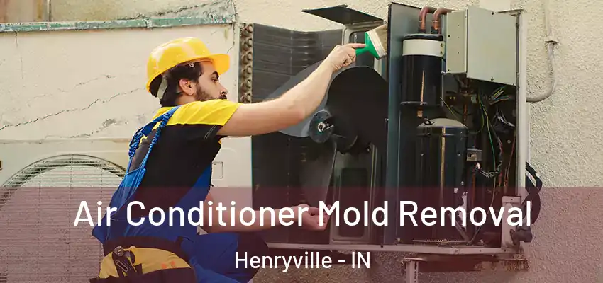 Air Conditioner Mold Removal Henryville - IN