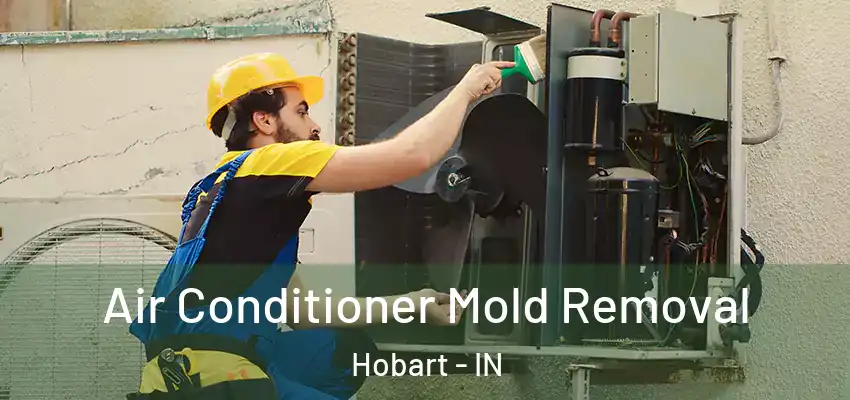  Air Conditioner Mold Removal Hobart - IN