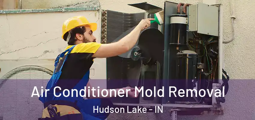  Air Conditioner Mold Removal Hudson Lake - IN