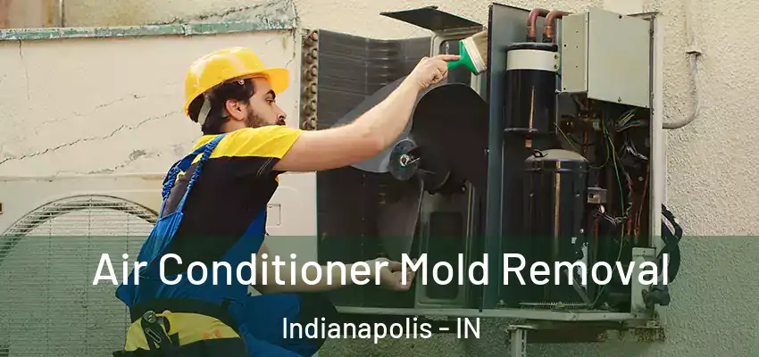  Air Conditioner Mold Removal Indianapolis - IN