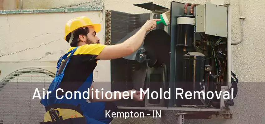  Air Conditioner Mold Removal Kempton - IN