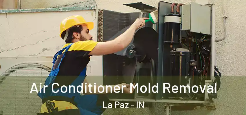 Air Conditioner Mold Removal La Paz - IN
