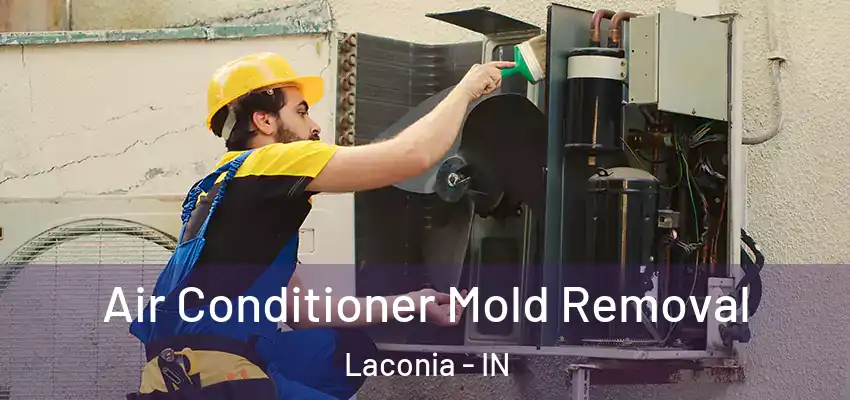 Air Conditioner Mold Removal Laconia - IN