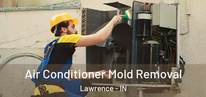  Air Conditioner Mold Removal Lawrence - IN