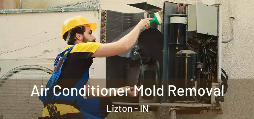 Air Conditioner Mold Removal Lizton - IN