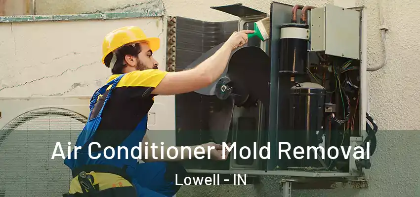  Air Conditioner Mold Removal Lowell - IN