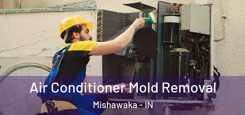  Air Conditioner Mold Removal Mishawaka - IN