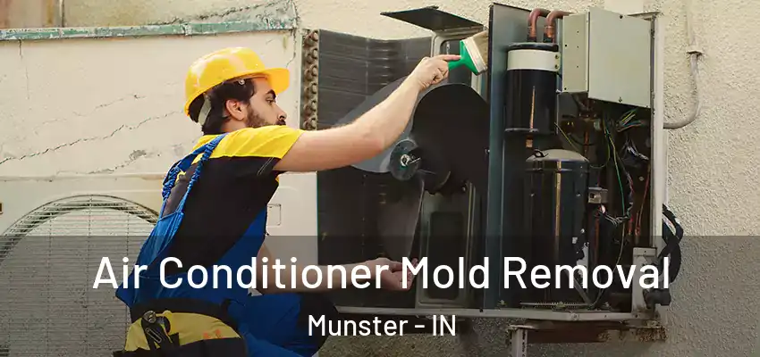  Air Conditioner Mold Removal Munster - IN