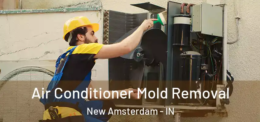  Air Conditioner Mold Removal New Amsterdam - IN