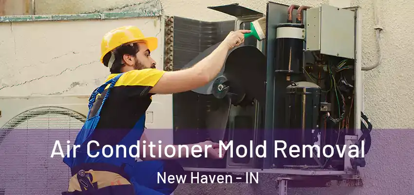 Air Conditioner Mold Removal New Haven - IN