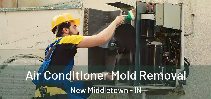  Air Conditioner Mold Removal New Middletown - IN