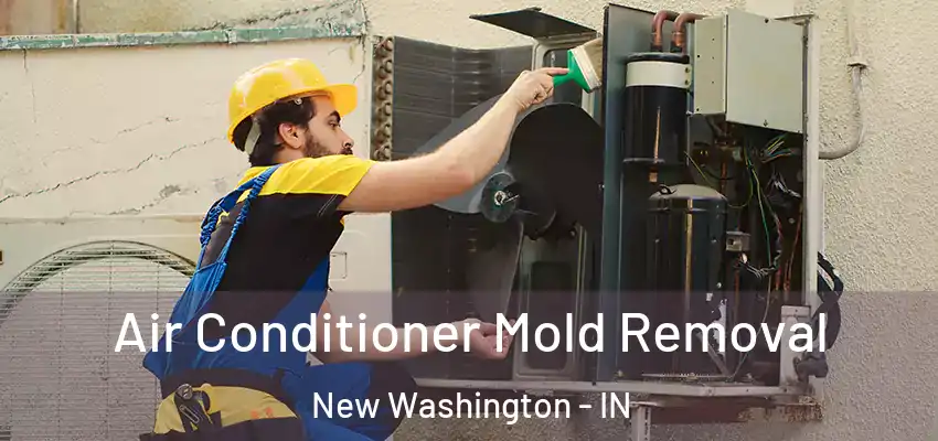  Air Conditioner Mold Removal New Washington - IN