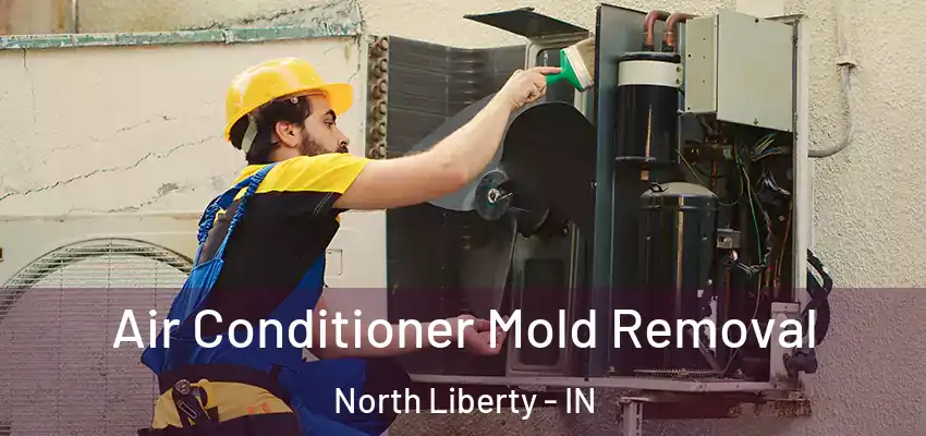  Air Conditioner Mold Removal North Liberty - IN