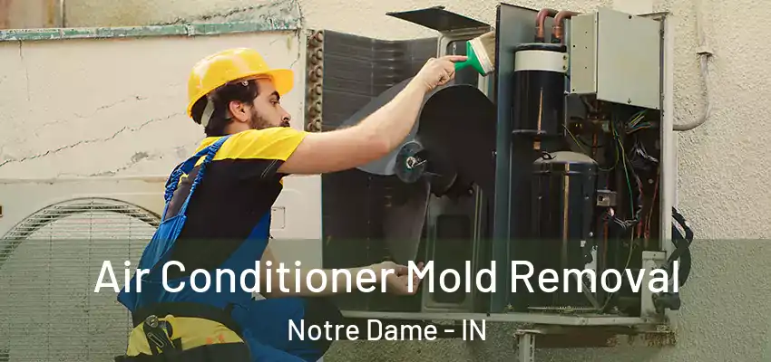 Air Conditioner Mold Removal Notre Dame - IN