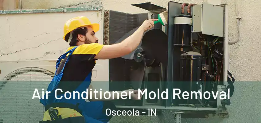  Air Conditioner Mold Removal Osceola - IN