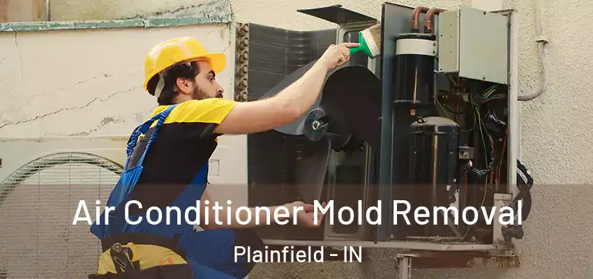  Air Conditioner Mold Removal Plainfield - IN