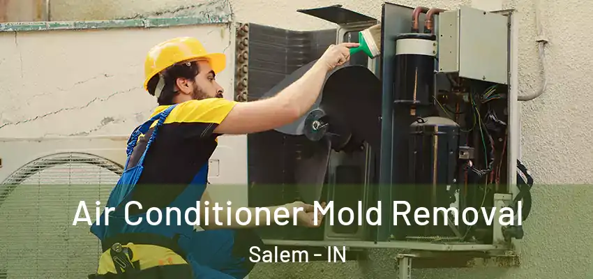  Air Conditioner Mold Removal Salem - IN