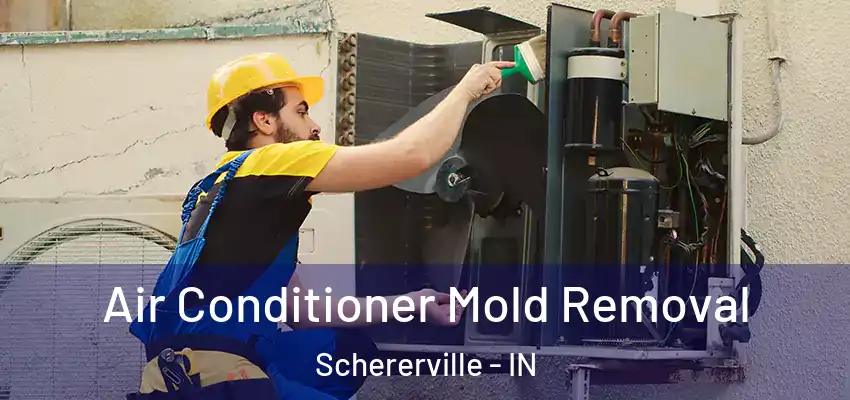  Air Conditioner Mold Removal Schererville - IN