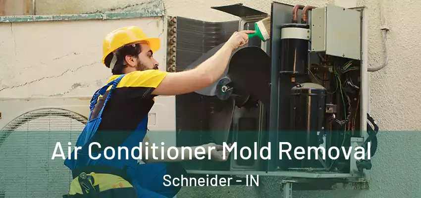  Air Conditioner Mold Removal Schneider - IN
