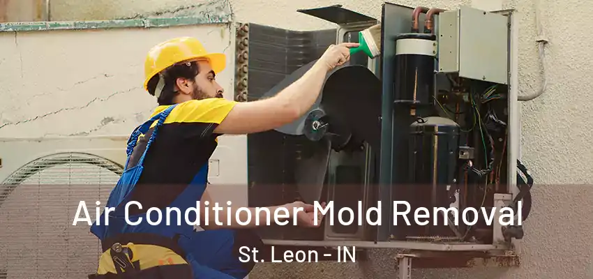  Air Conditioner Mold Removal St. Leon - IN