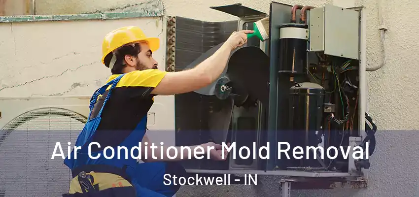 Air Conditioner Mold Removal Stockwell - IN
