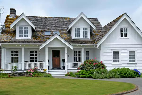 Mold Removal Services in Noblesville, IN