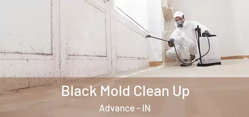  Black Mold Clean Up Advance - IN