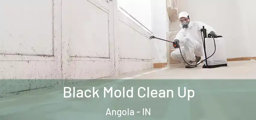 Black Mold Clean Up Angola - IN
