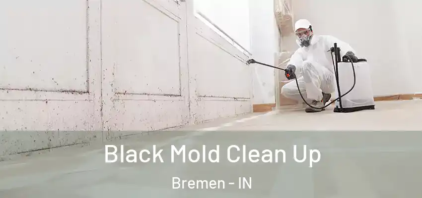  Black Mold Clean Up Bremen - IN