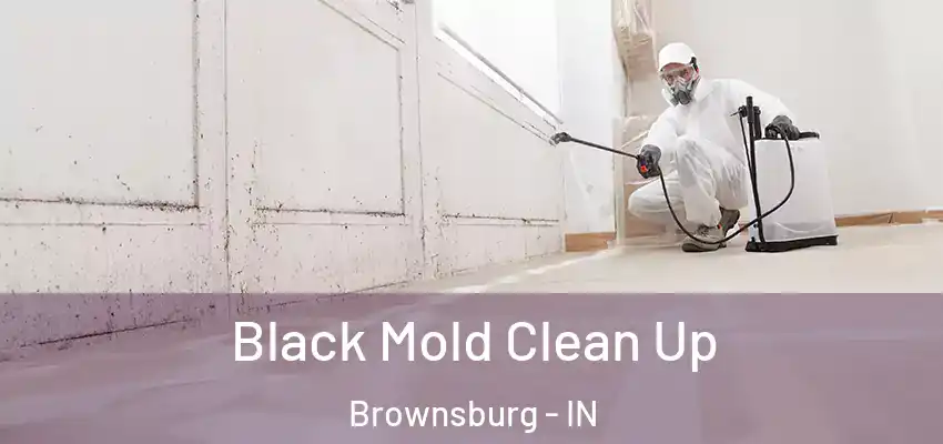  Black Mold Clean Up Brownsburg - IN