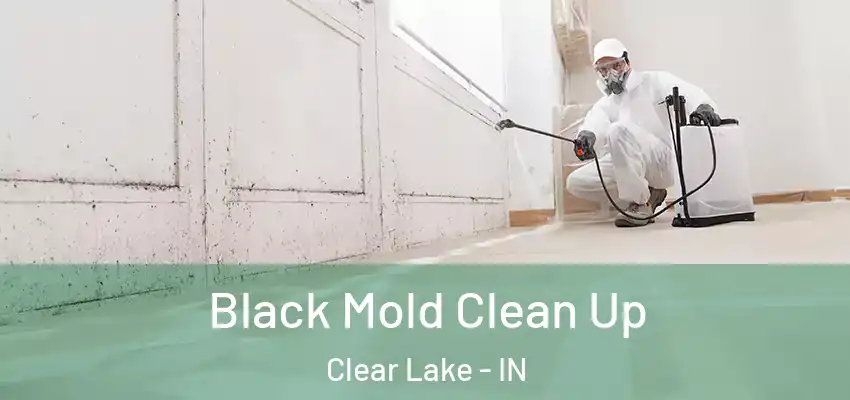 Black Mold Clean Up Clear Lake - IN