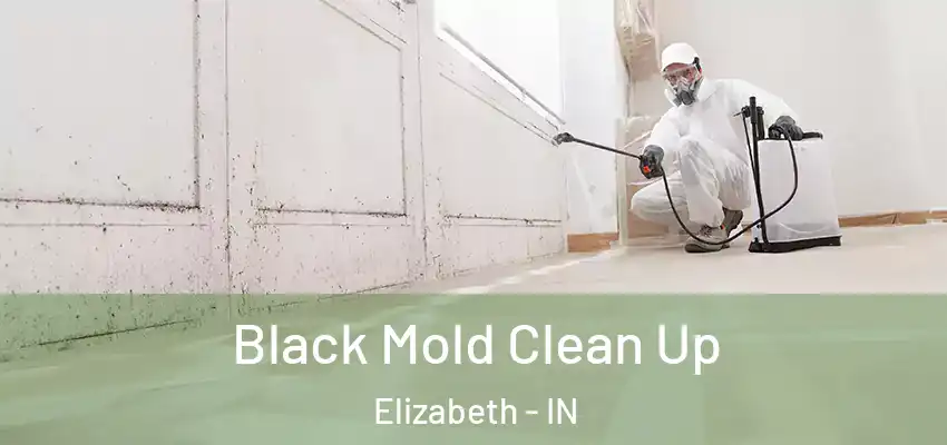 Black Mold Clean Up Elizabeth - IN
