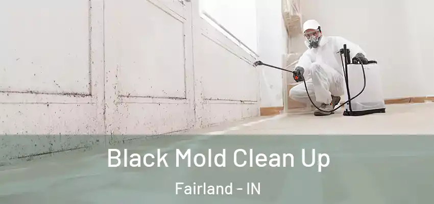  Black Mold Clean Up Fairland - IN