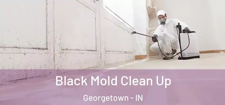 Black Mold Clean Up Georgetown - IN