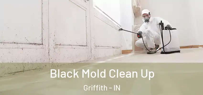  Black Mold Clean Up Griffith - IN