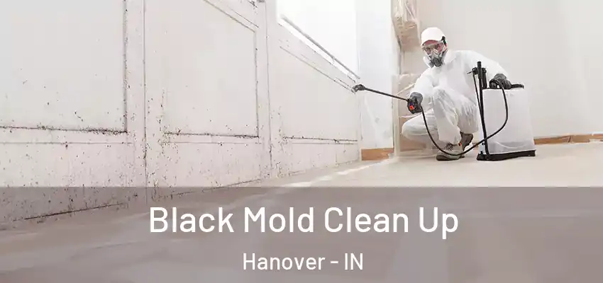  Black Mold Clean Up Hanover - IN
