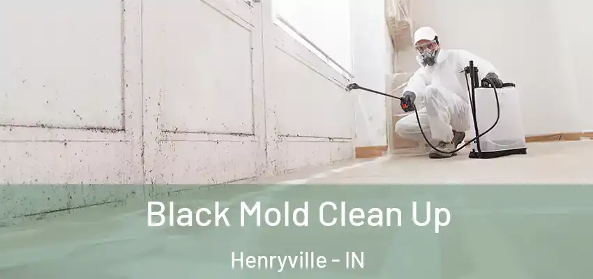  Black Mold Clean Up Henryville - IN
