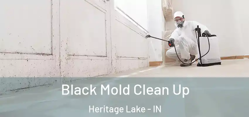 Black Mold Clean Up Heritage Lake - IN