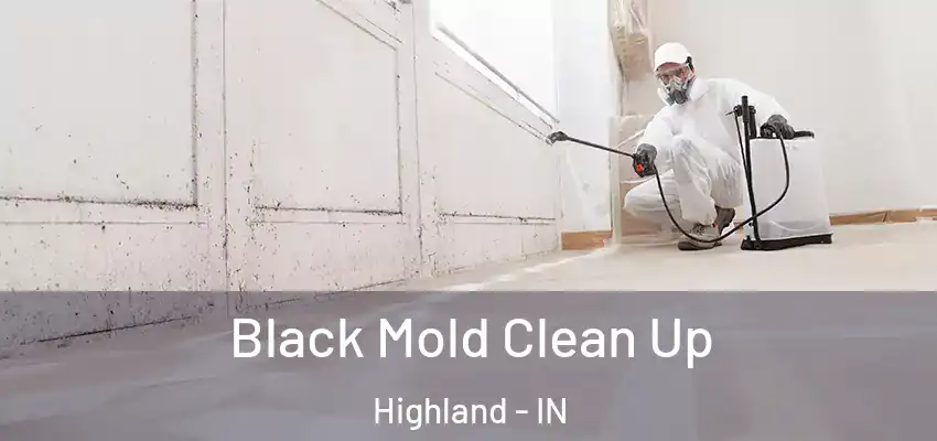  Black Mold Clean Up Highland - IN