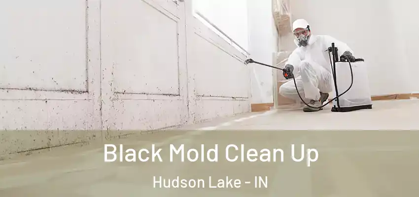  Black Mold Clean Up Hudson Lake - IN